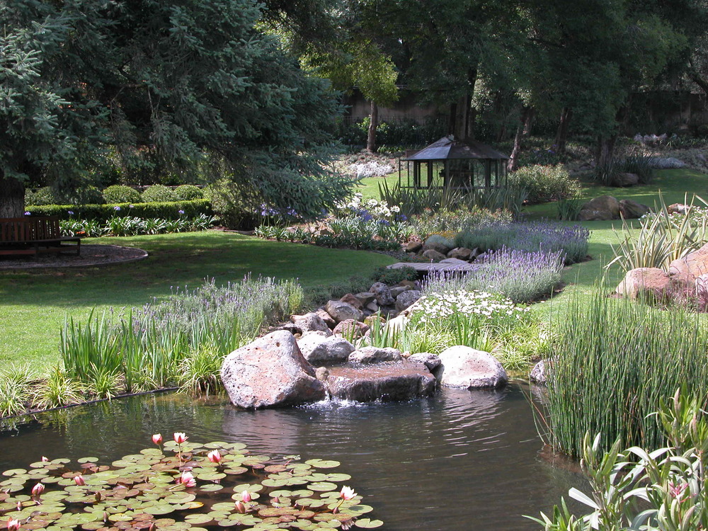 estanque en jardin japones